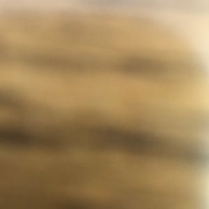 Meet your Posher, Jake